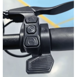 Päästikgaas elektritõukeratastele AUSOM DT2 PRO L1 L2 L2 MAX K20 PRO Laluz 2 Pro GOSOUL 2 2 PRO või sarnane  - 6 Sobib AUSOM DT2