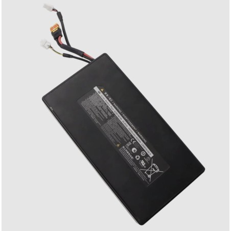 Batterie lithium 899 Wh 19200 mAh 46,8 V pour Segway GT3, GT3 Series ou similaire - doublez votre autonomie  - 2 Compatible avec