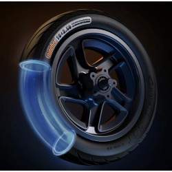 Polnyy peredniy obod s tormoznym diskom dlya Segway F2, F2 Plus, F2 Pro ili analogichnykh — 10x2,5 dyuyma Segway - Ninebot - 6 P