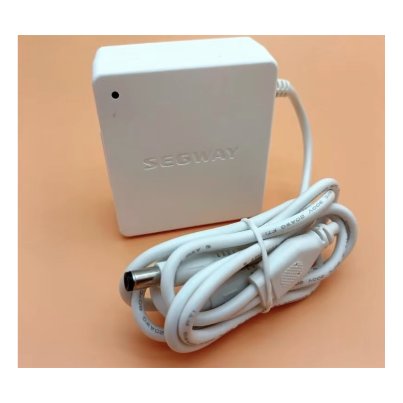 Cargador original de la batería interna para Segway Ninebot W1 Drift - 25v 1.5A  - 1 Cargador original de la batería interna par