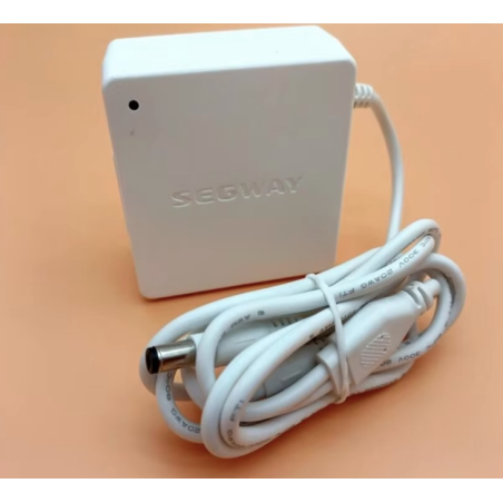 Originalno vŭtreshno zaryadno za Segway Ninebot W1 Drift - 25v 1.5A  - 1 Originalno vŭtreshno zaryadno za Segway Ninebot W1 Drif