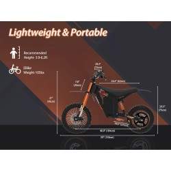 Monorim e-Moto Electric Wish007, 55 km/h, motor 1500 W, baterija 21 Ah, podesivi hidraulički ovjes Monorim - 5 Monorim e-Moto El